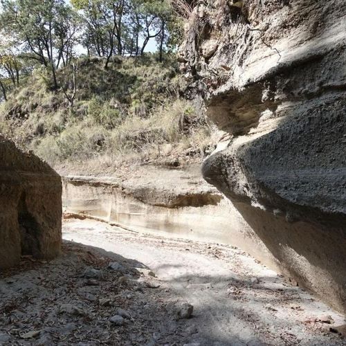 Pinar De La Venta