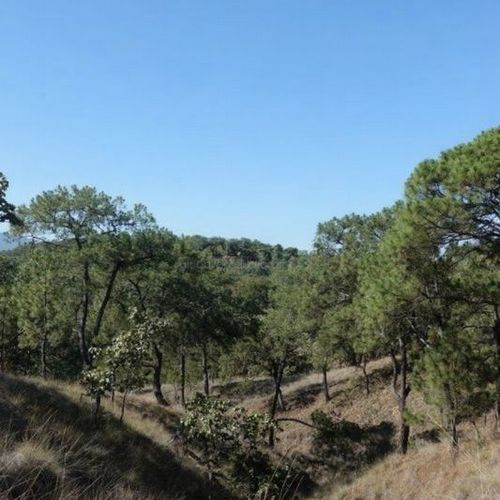 Fraccionamiento El Roble