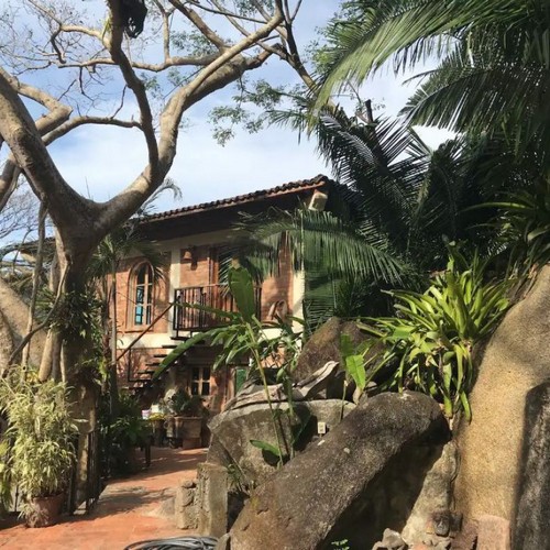 Casa del Arbol