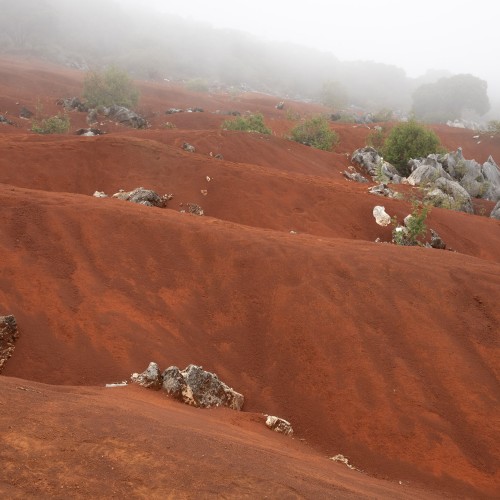 Dunas Rojas de San Francisco Pacula