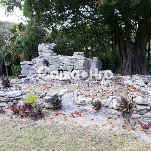 Playacar Mayan Ruins (SCOUTING 01.25.20)