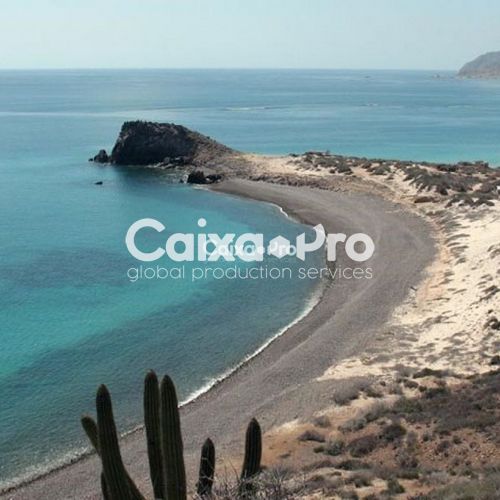 Cabo Pulmo Coast