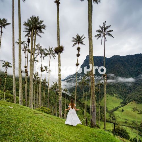 Valle de Cocora